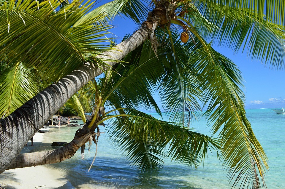 polinesia bora bora